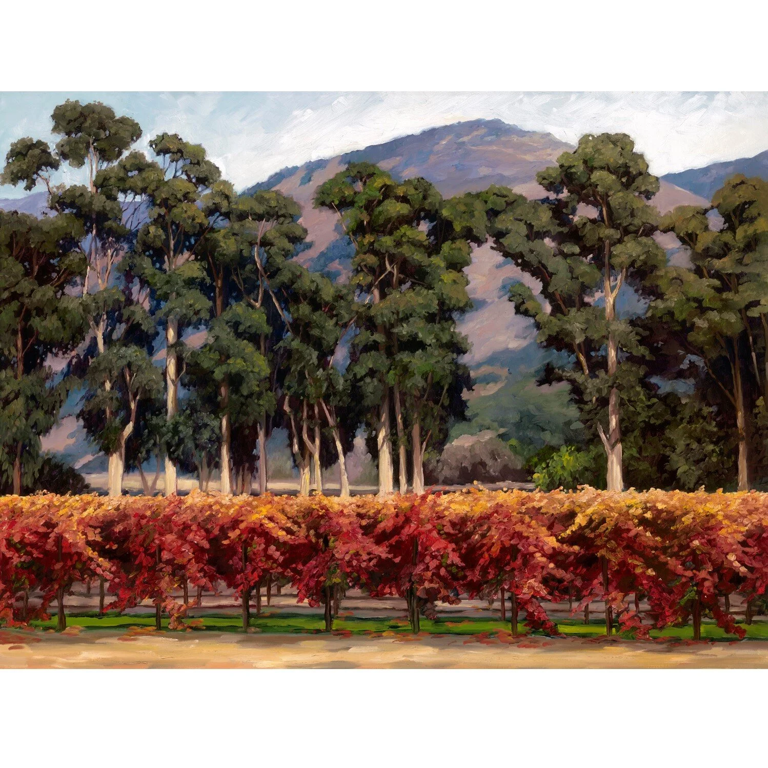Eucalyptus Row.jpg