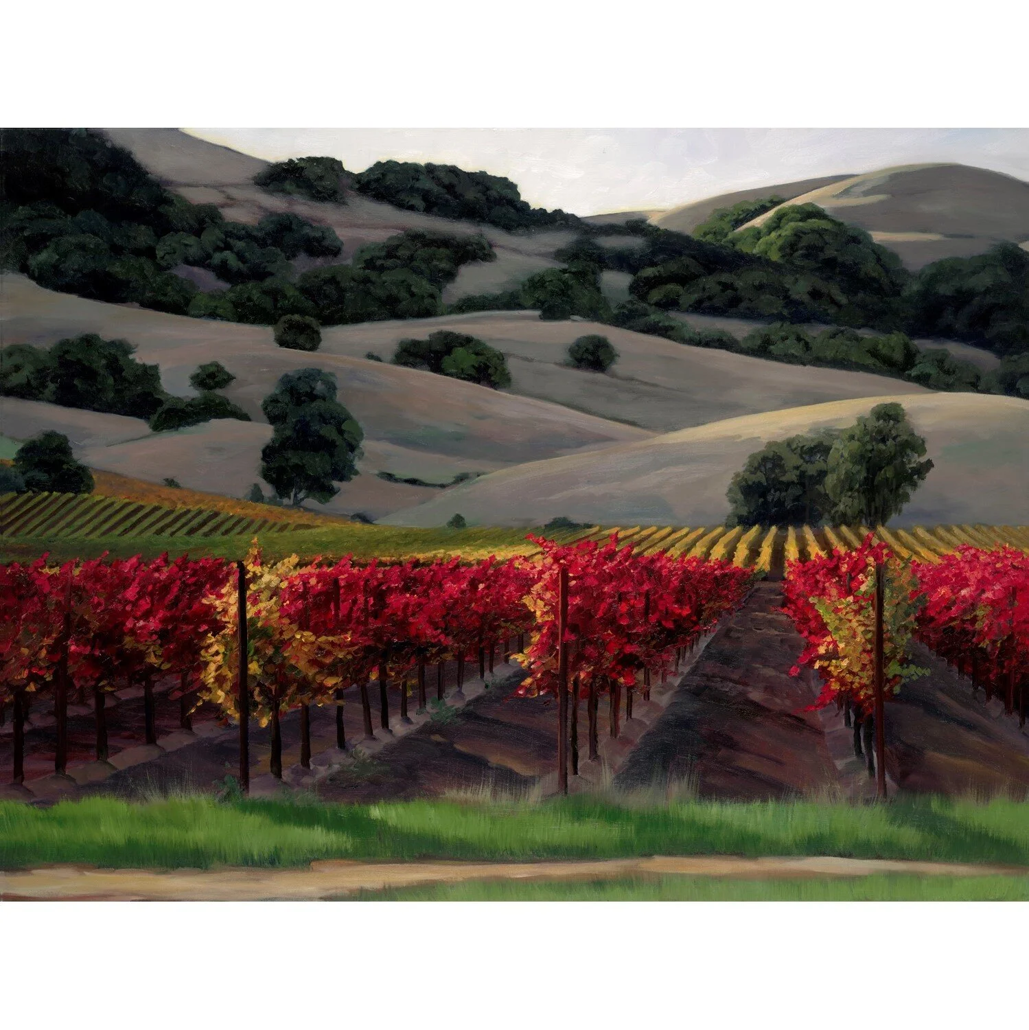 Red Vines At Sunset.jpg