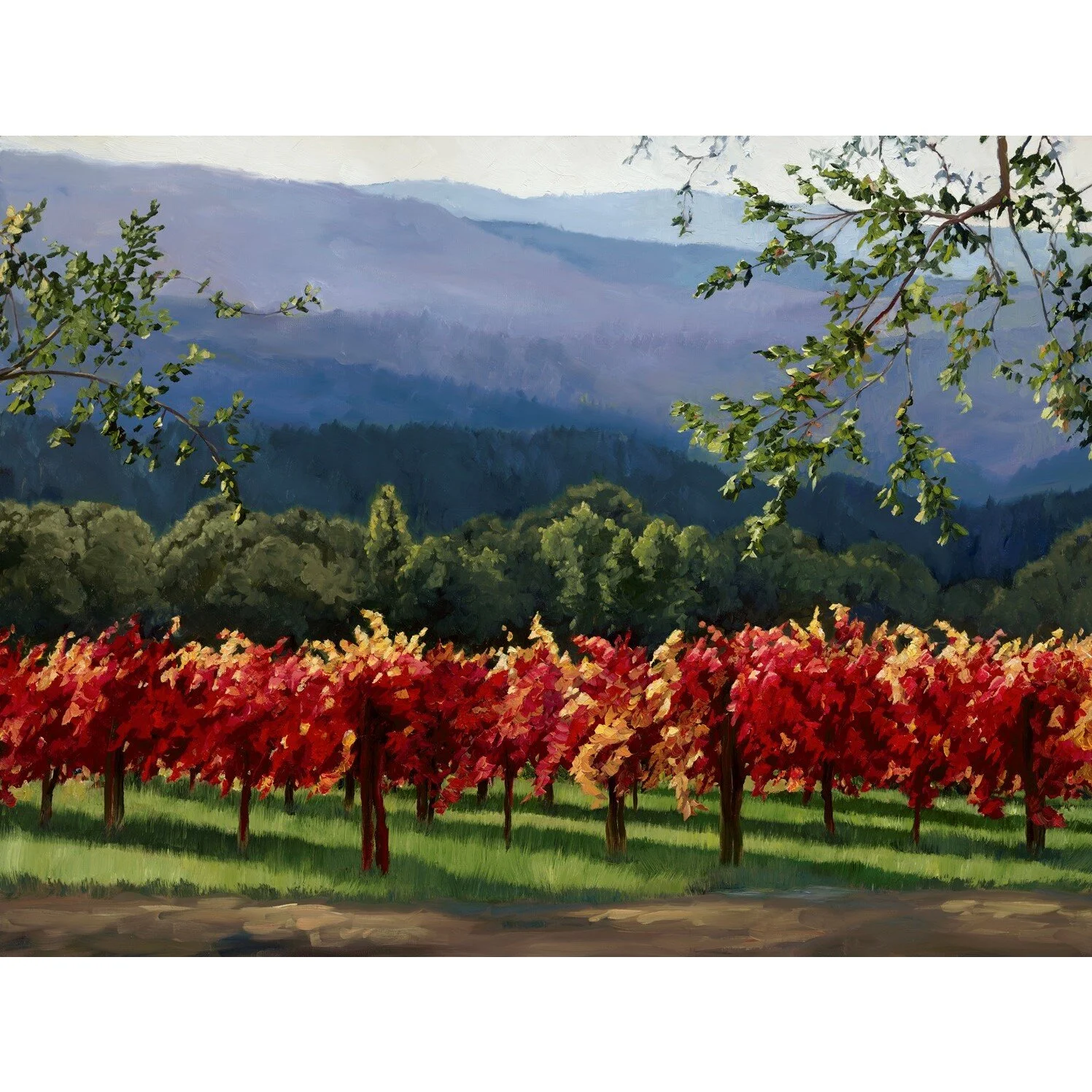 St. Helena Red.jpg