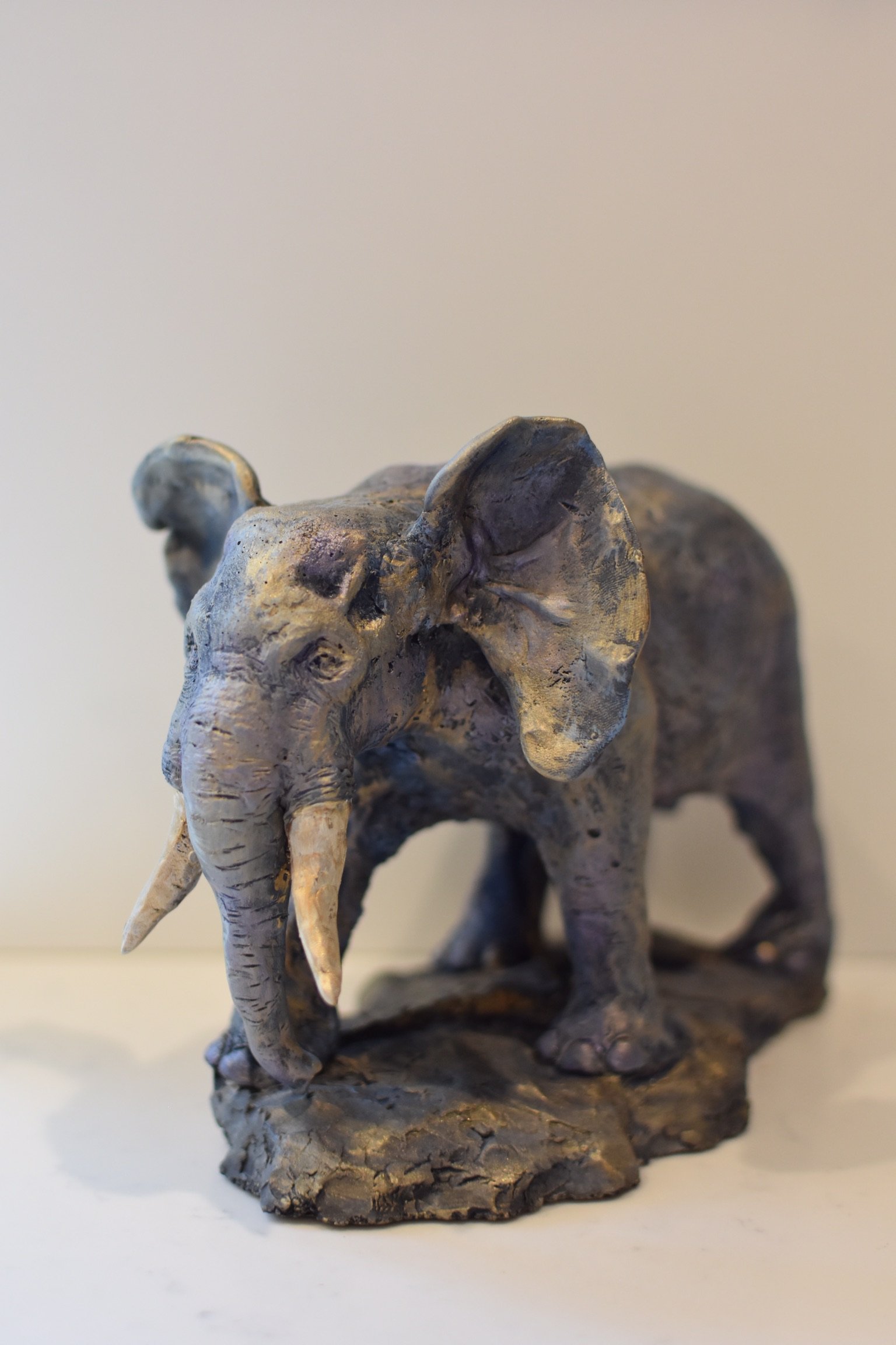 Elephant.jpeg