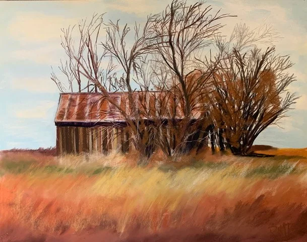 Rbin Fourie Old Barn in Grasses.jpeg