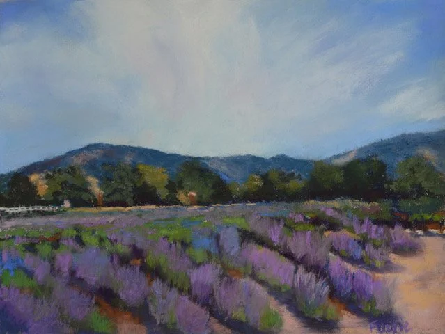 Robin Fourie Patchwork Farm Capay Valley_Robin Fourie.jpeg