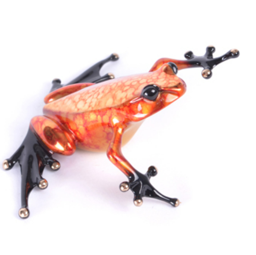 Frogman by Tim Cotterill — Studio Seven Arts