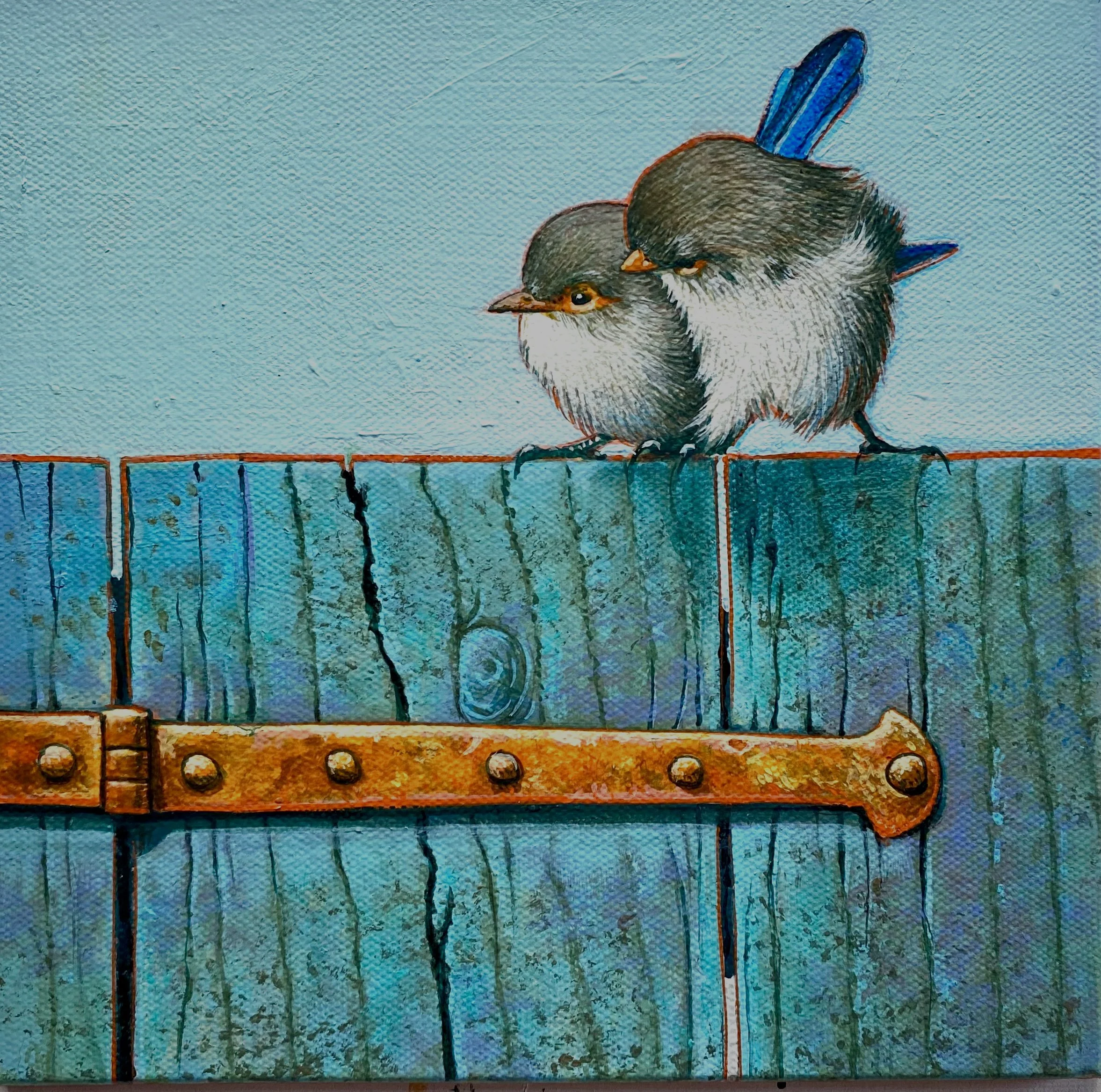 0223B 8x8_ThomCory.JPG