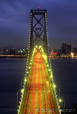 Bay Bridge Night Lights.jpg