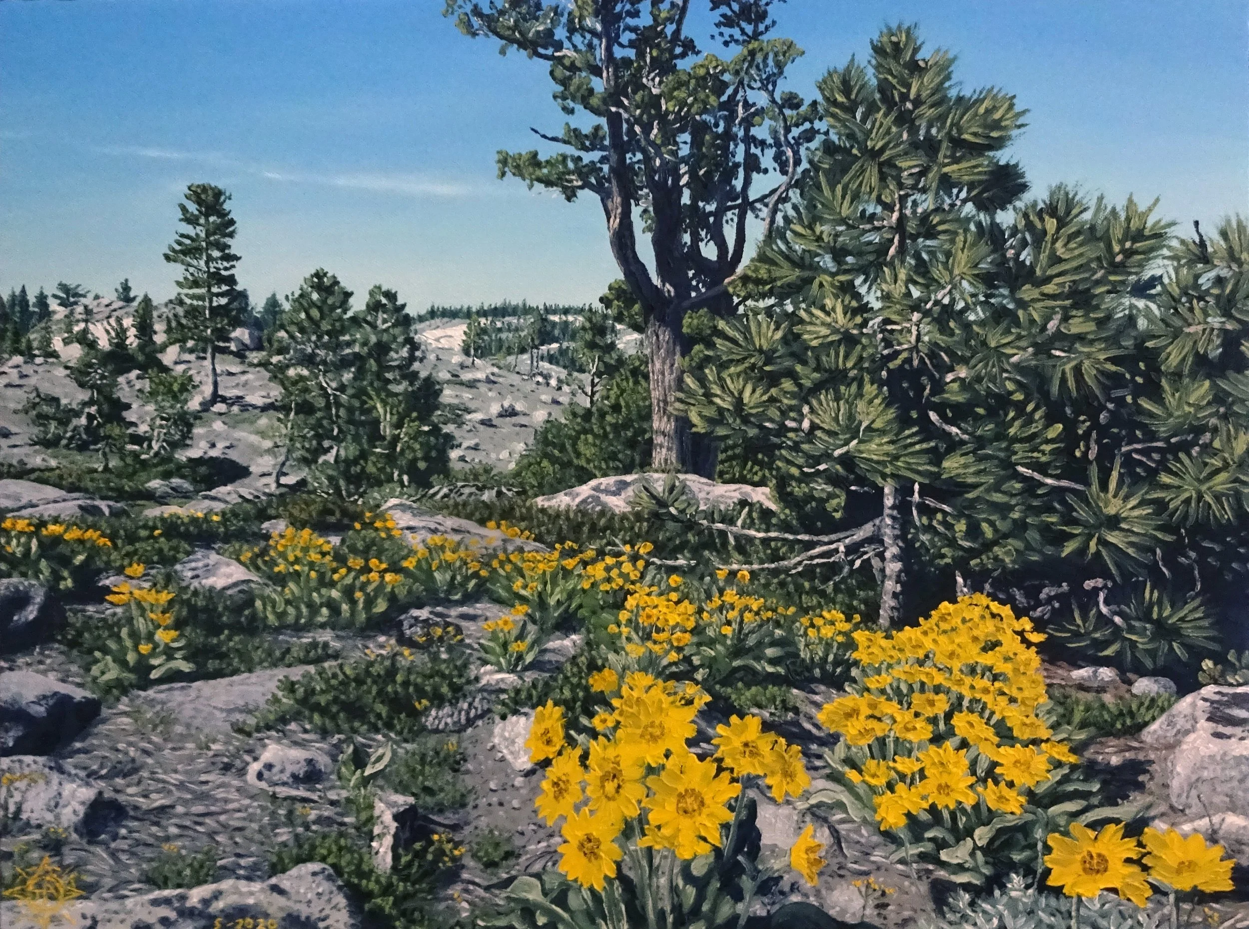 211 Alpine Spring, Silver Lake.JPG