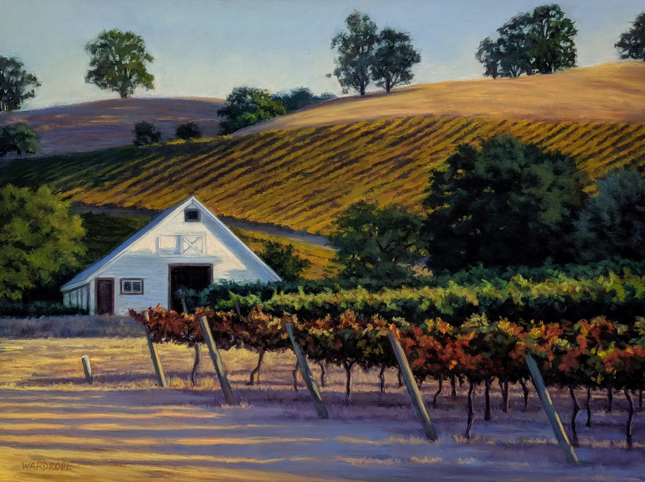 Livrtmore Fall Vines 0.jpg