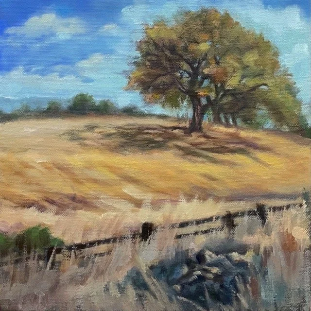 Hilltop Oak IMG_6865.jpg