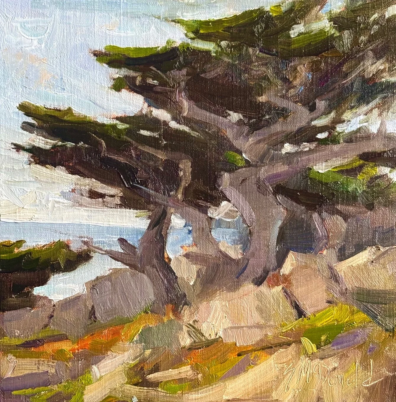 Ghost Cypress.jpeg