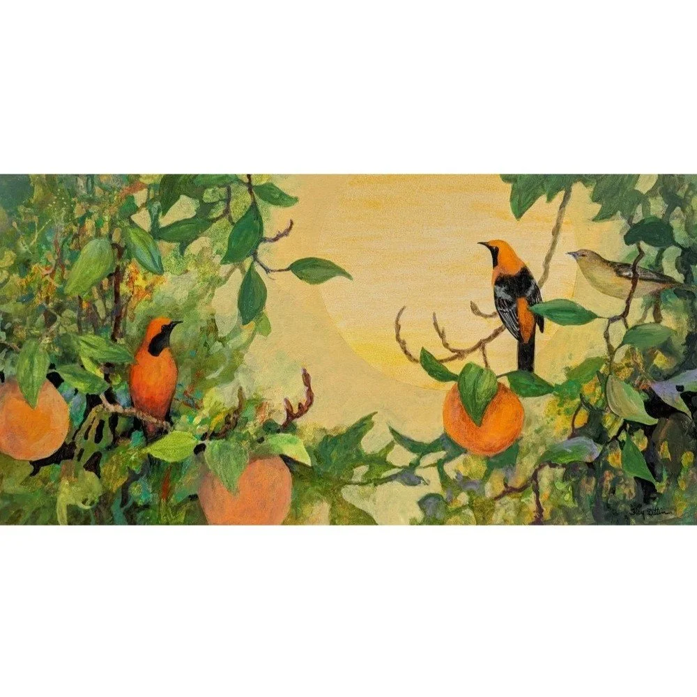 Hooded+Orioles+and+Oranges1000+-+Copy.jpg