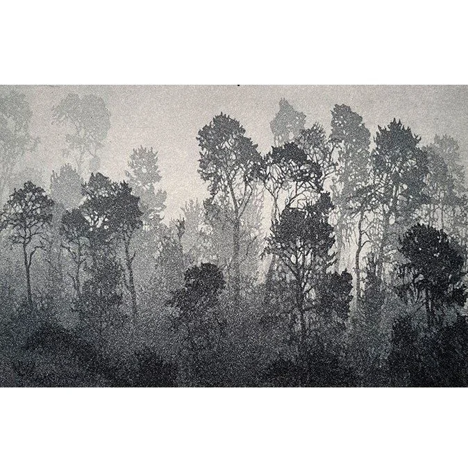 Coastal Fog.jpg