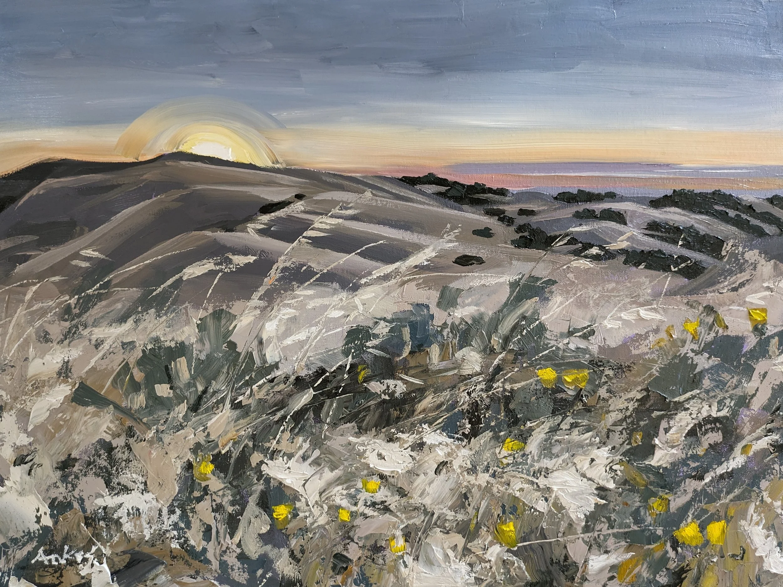Crest Trail Sunset.jpg