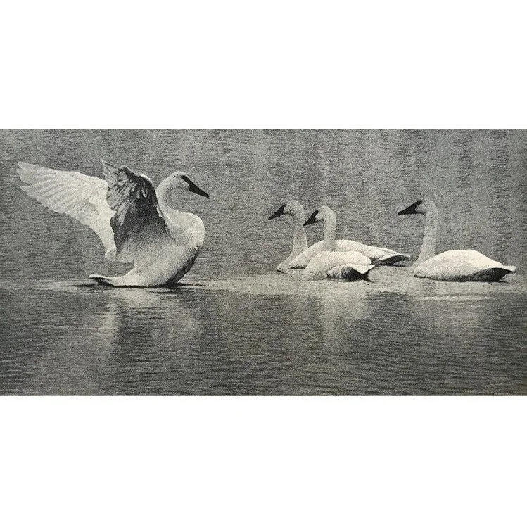 Swansong17 (1).jpg