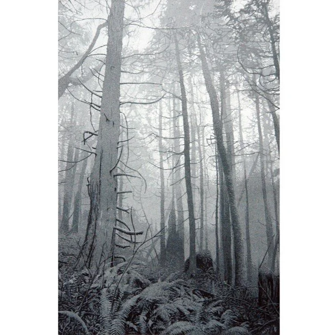 ForestWk12.jpg