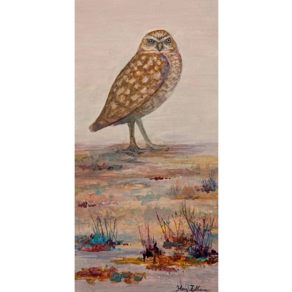 Burrowing+Owl+Alone1000.jpg
