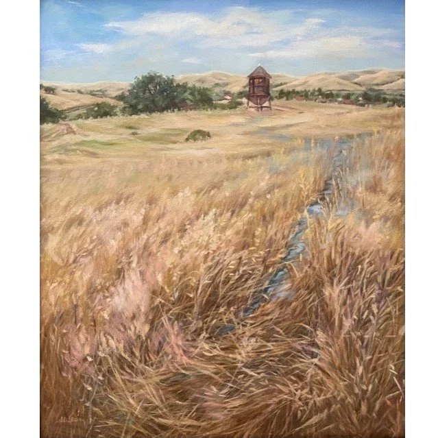 Mount Diablo Golden Field IMG_685.jpg