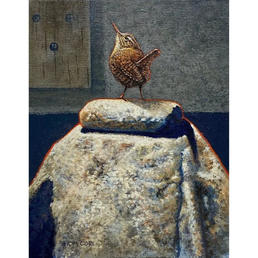 WREN ON ROCK_10x8_ThomCory.jpg