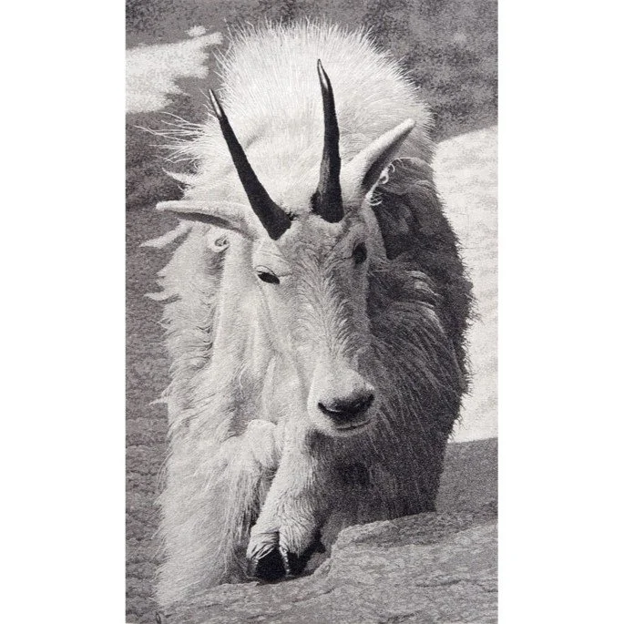 MtnGoat12.jpg