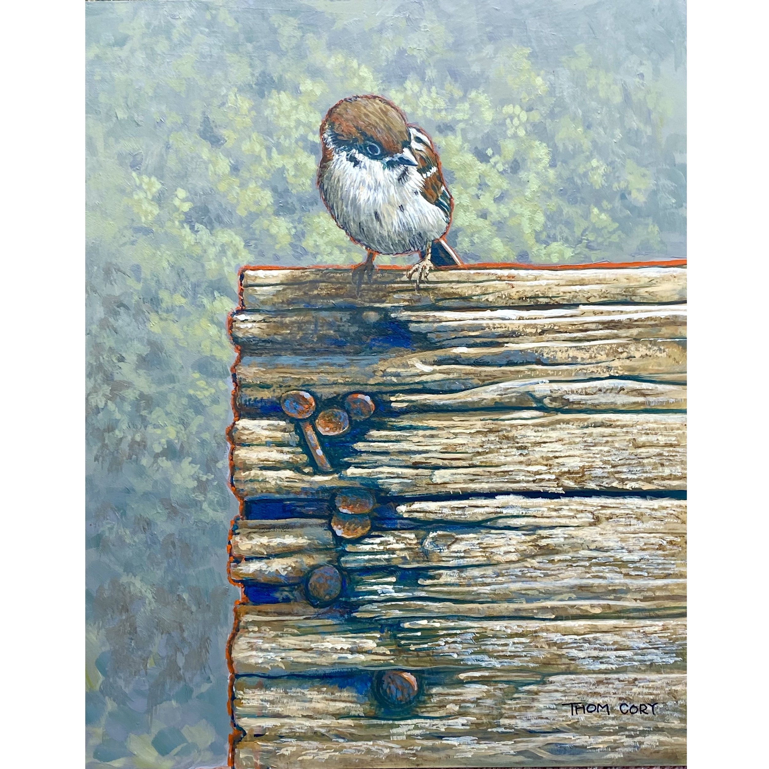 SPARROW ON FENCE_10x8_ThomCory.jpeg