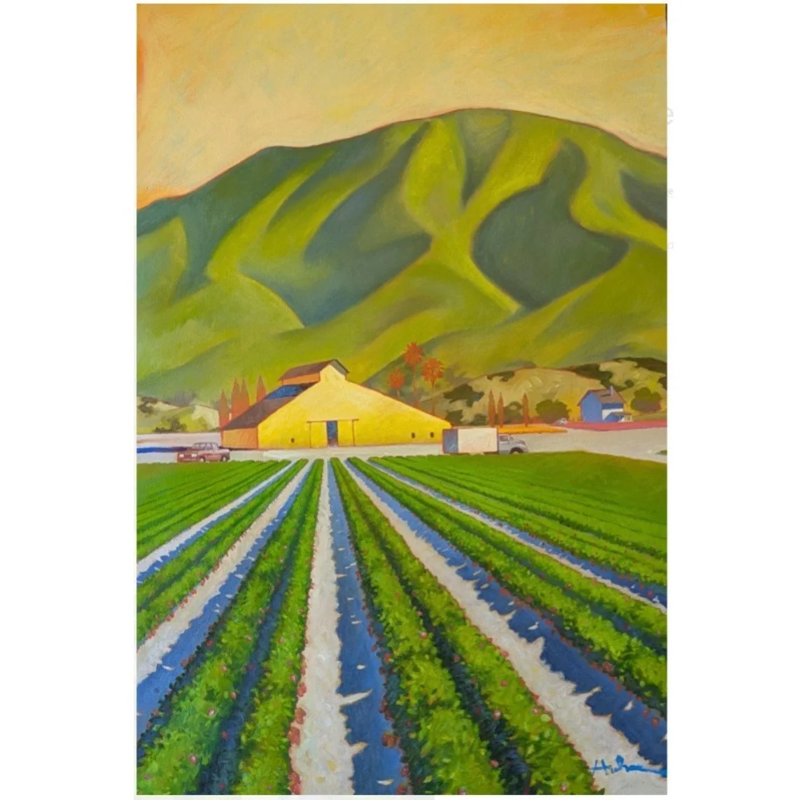Strawberry fields of Gold w.jpg