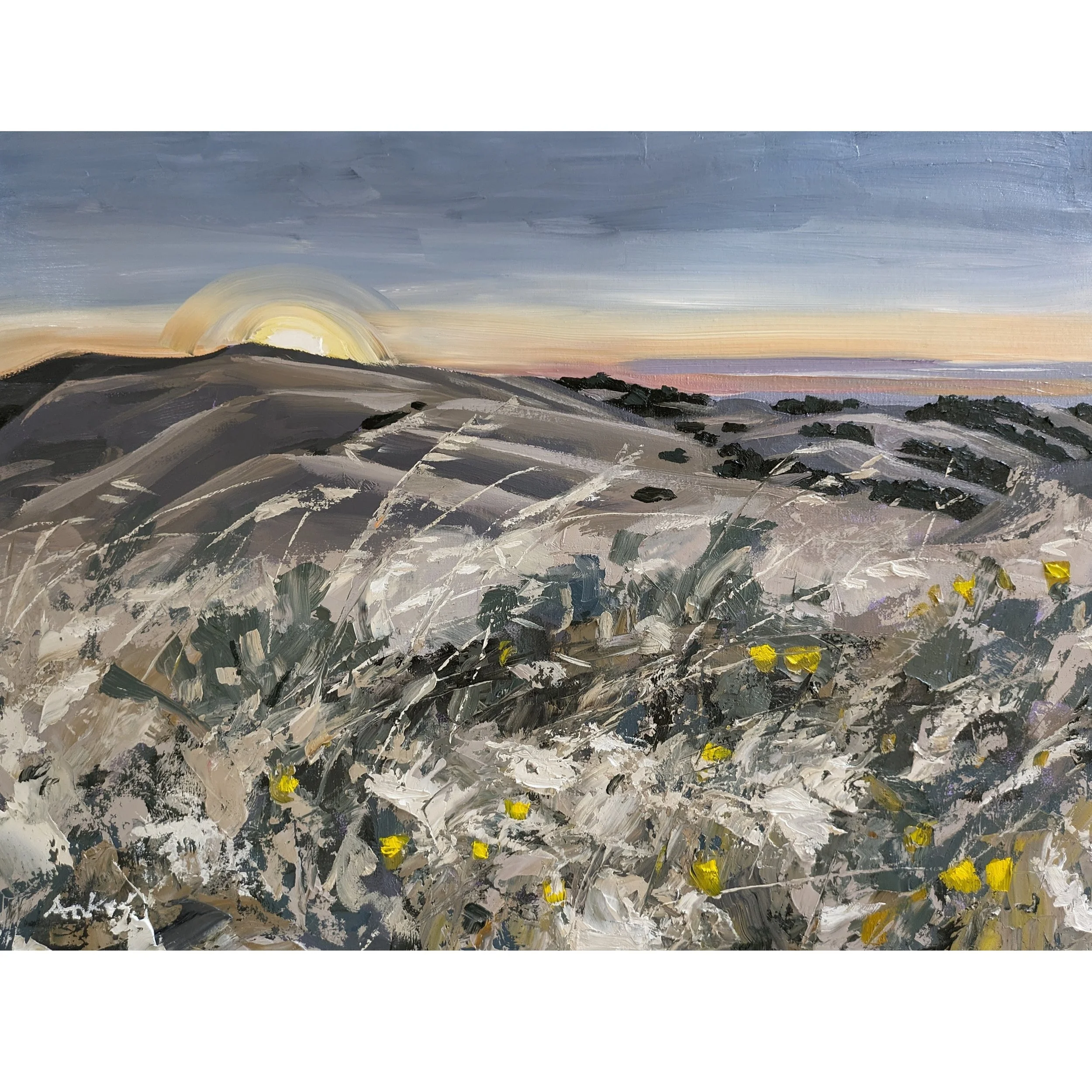 Crest Trail Sunset a.jpg