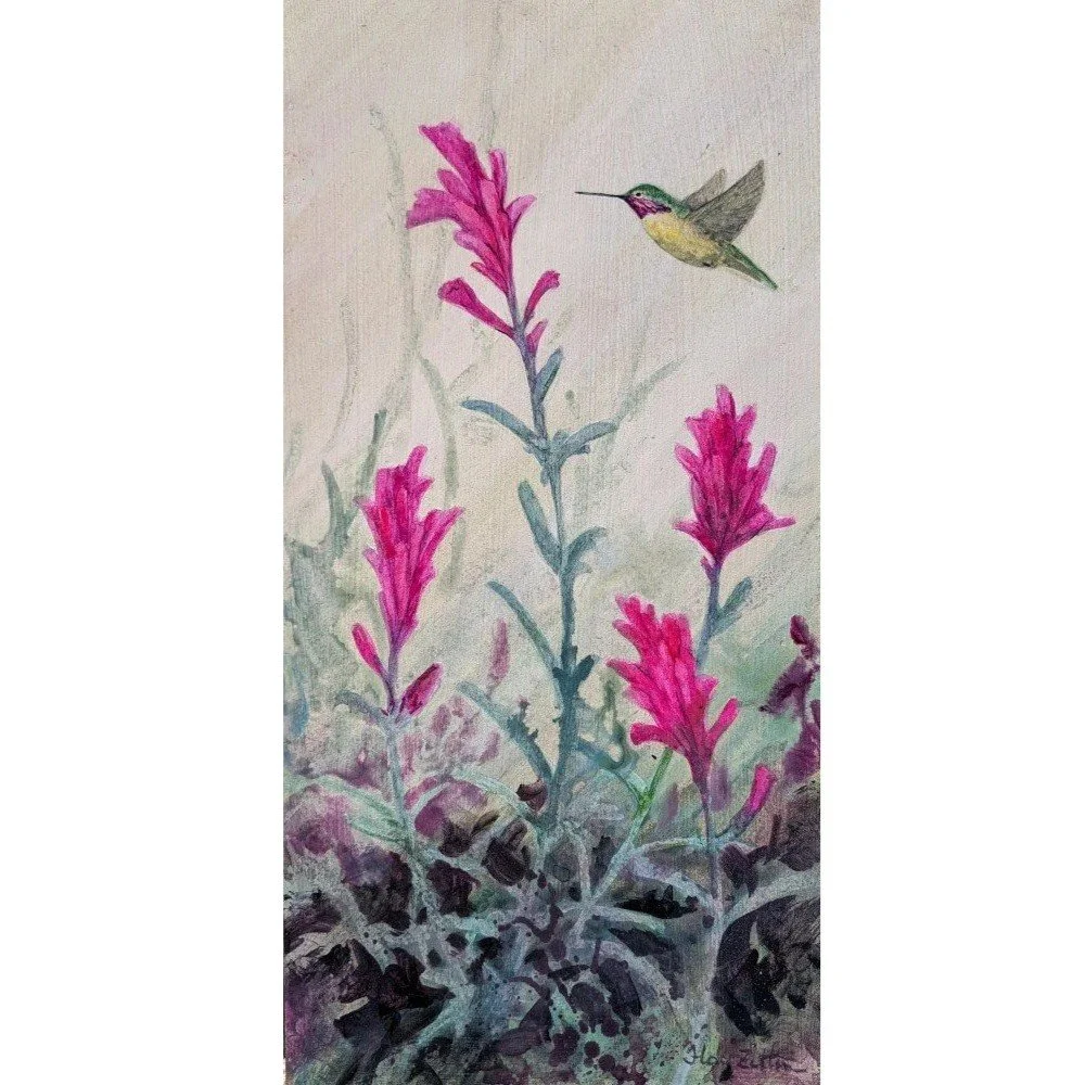 Indian+Paintbrush+and+Calliope+Hummingbird1000.jpg