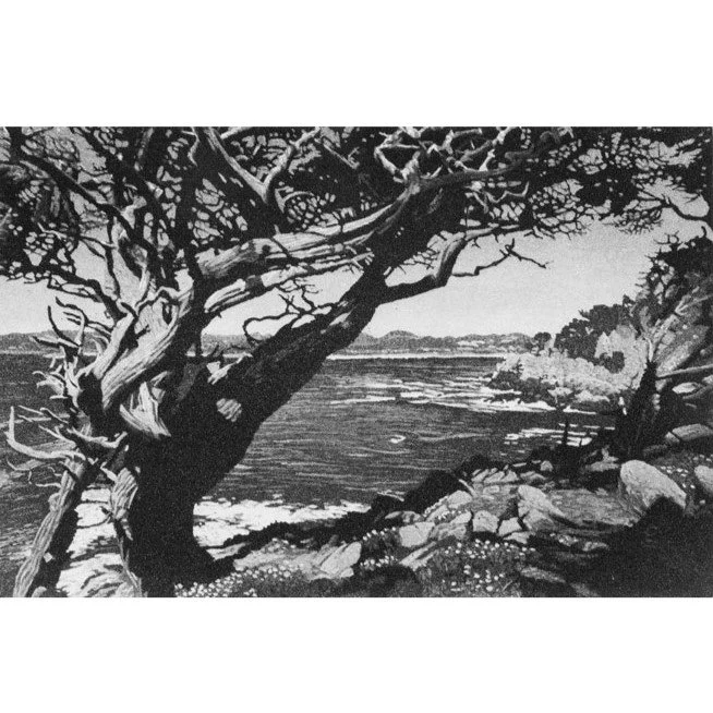CarmelBay1pl15.jpg