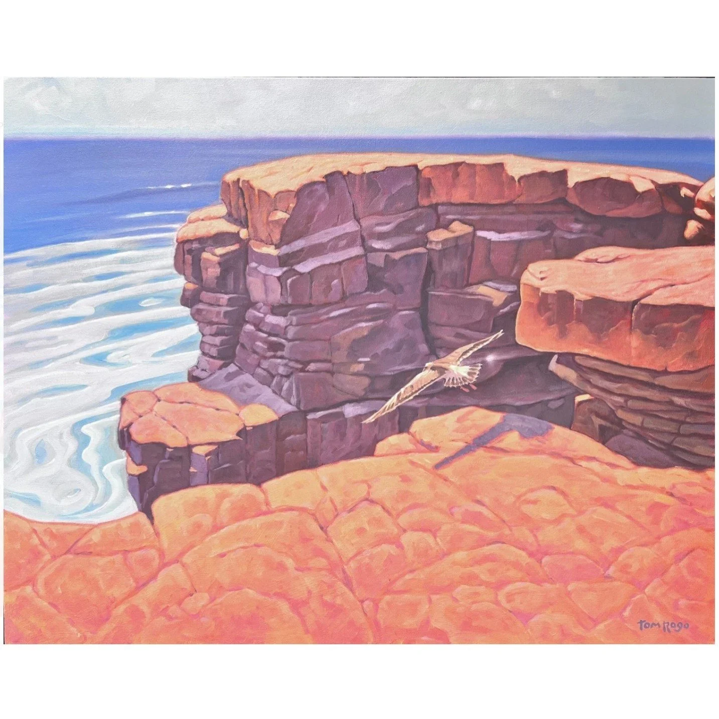 Gliding Montana De Oro Bluffs w.jpg