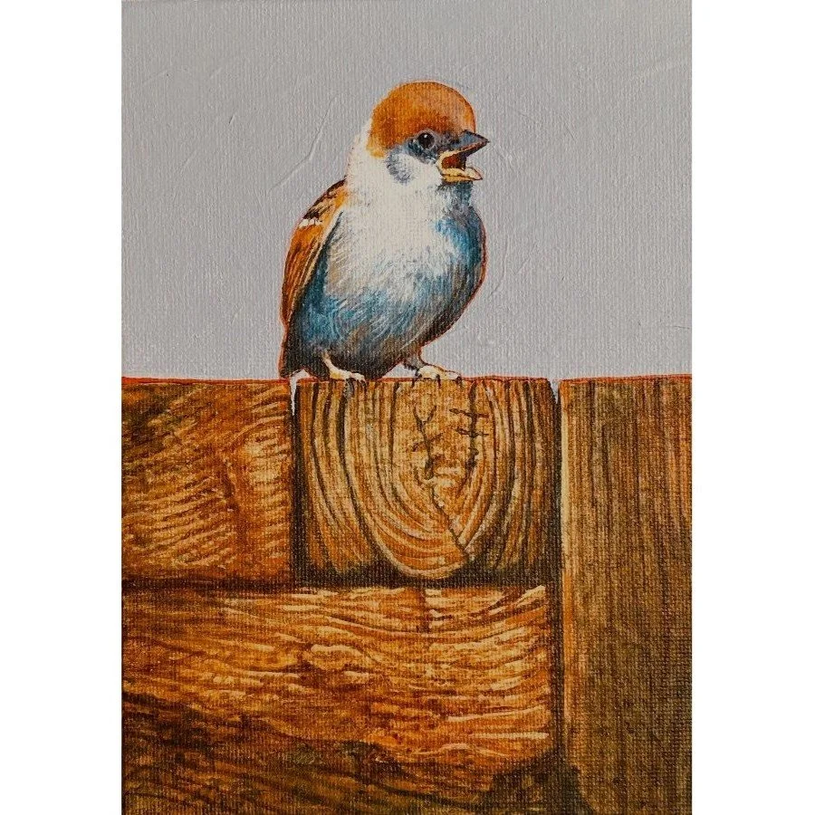 Sparrow on Wood a.jpg