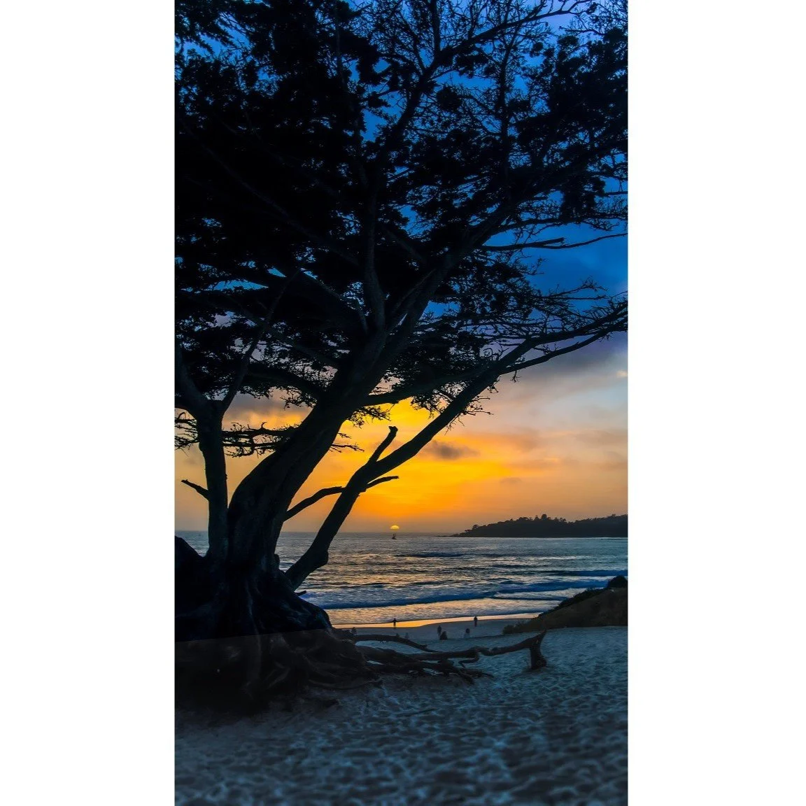 Carmel Sunset 4ARD.jpg