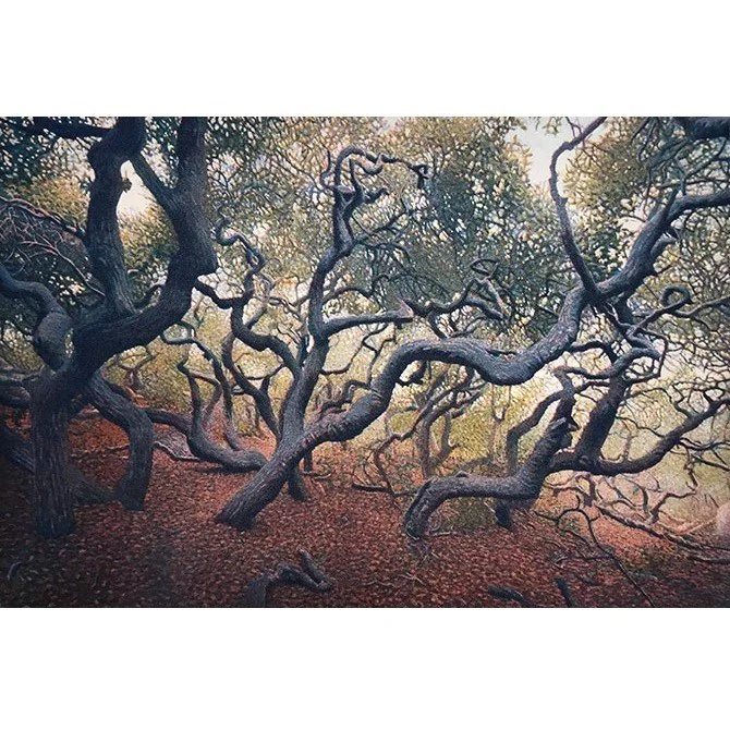 ElfinForest19.jpg