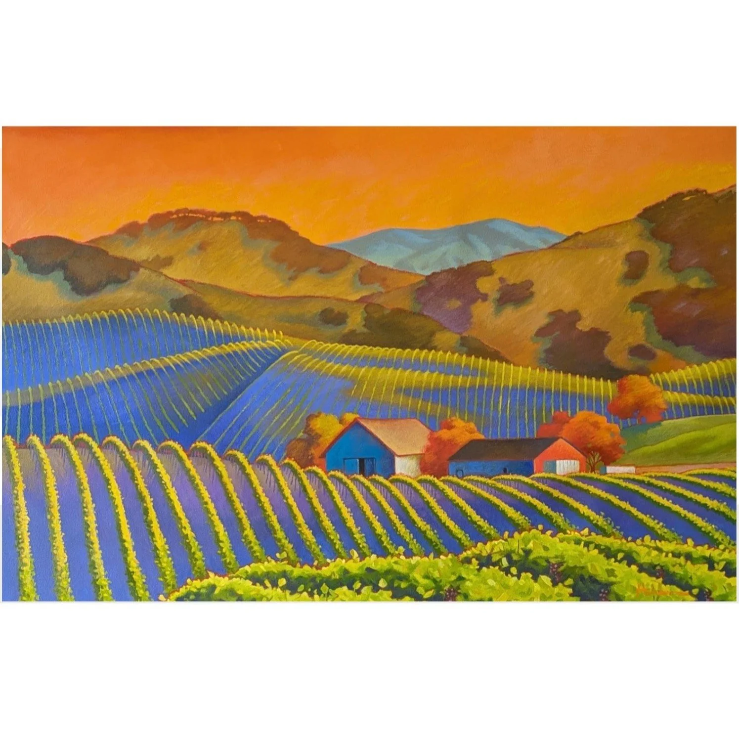 Violet Rows at Sunset w.jpg