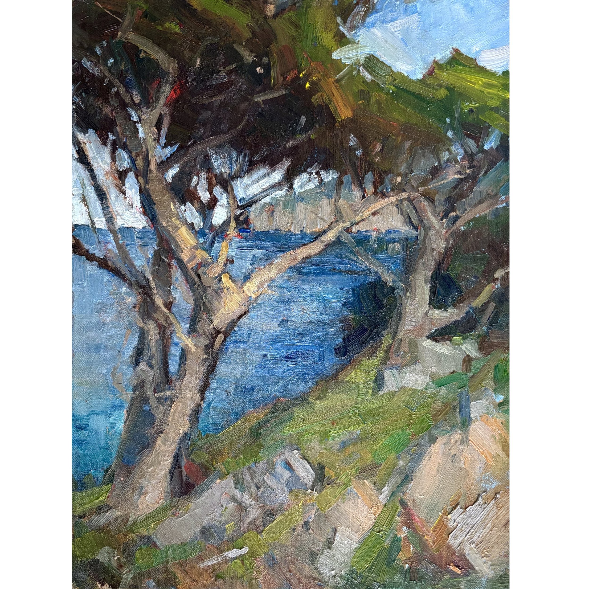Point Lobos Cypress.jpeg