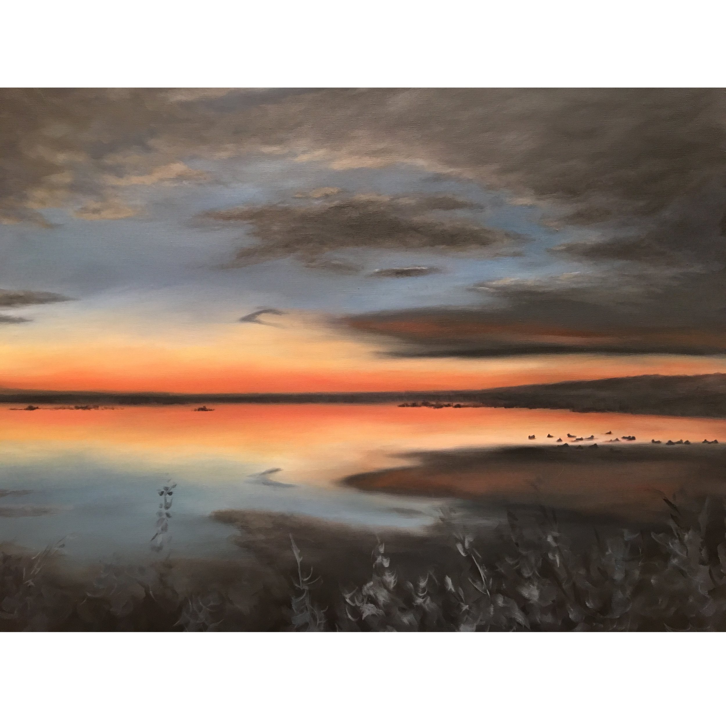 Dawn from a Duck Blind,  Suisun 24x30 a.jpg