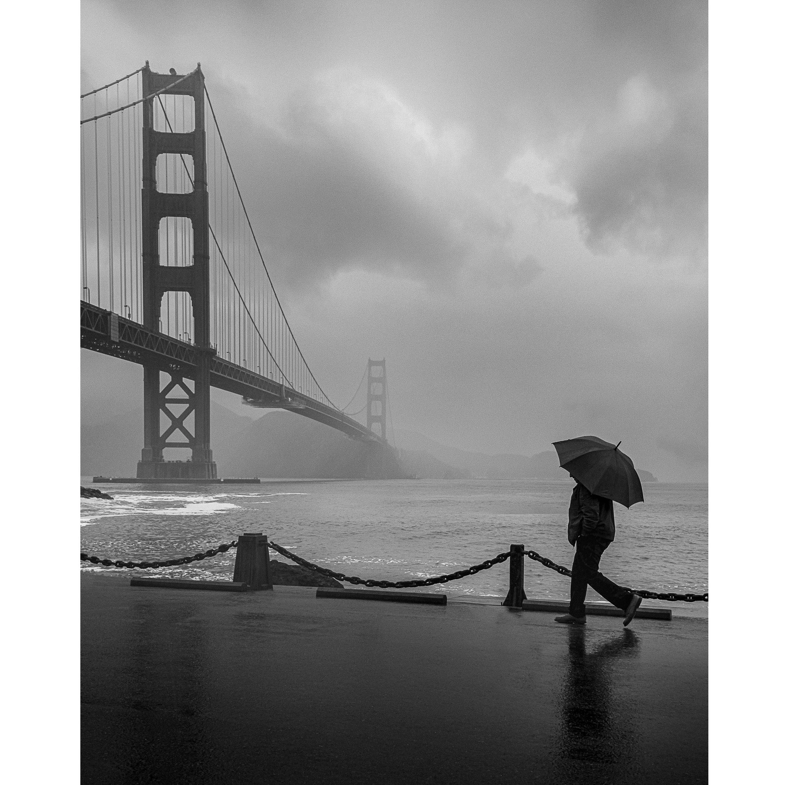 THE JOURNEY HOME_COSTANZO_16x20 FRAME a.jpg