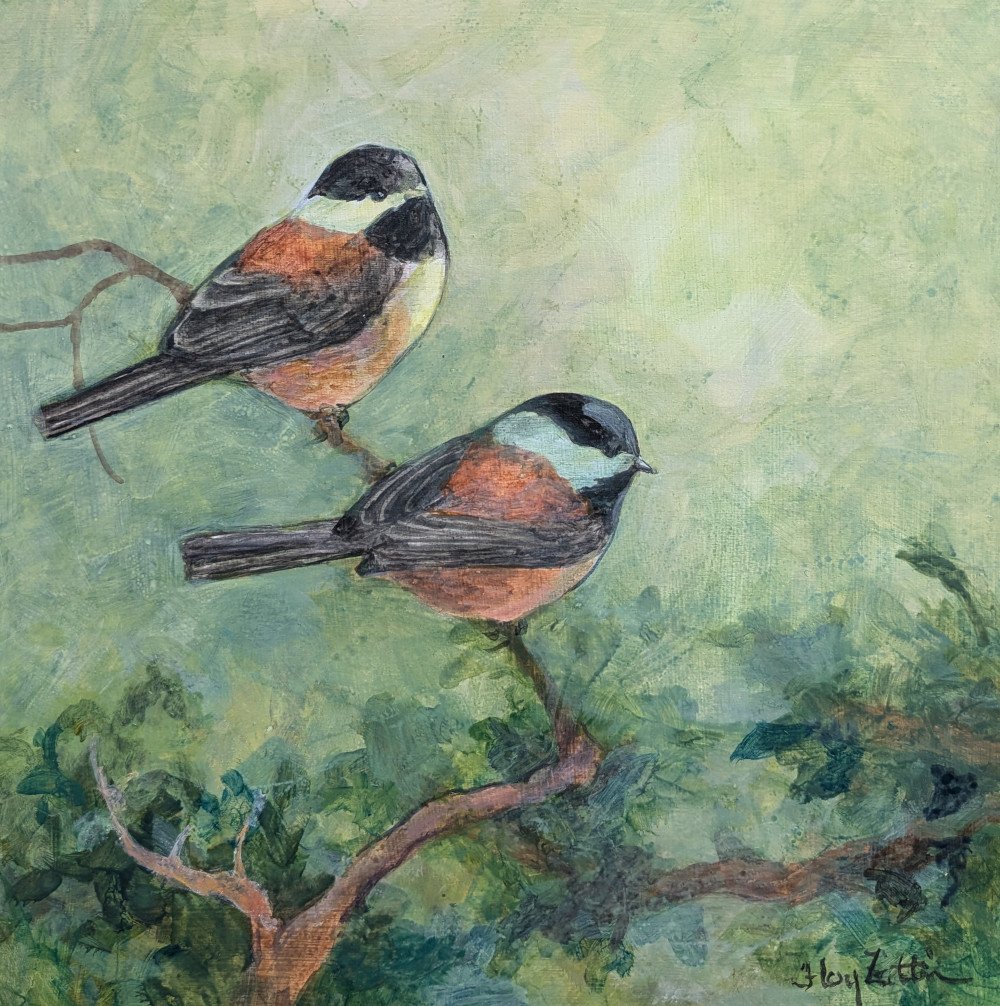 Chestnut-backed Chickadees1000.jpg