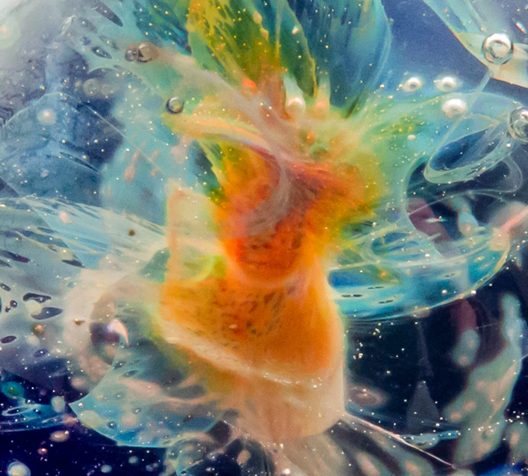 dancing nebula_4.JPG