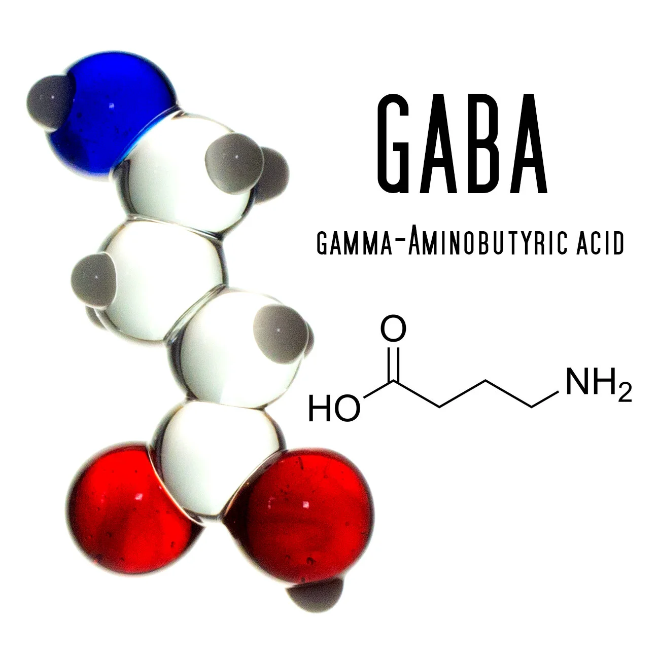 gaba - etsy.jpg