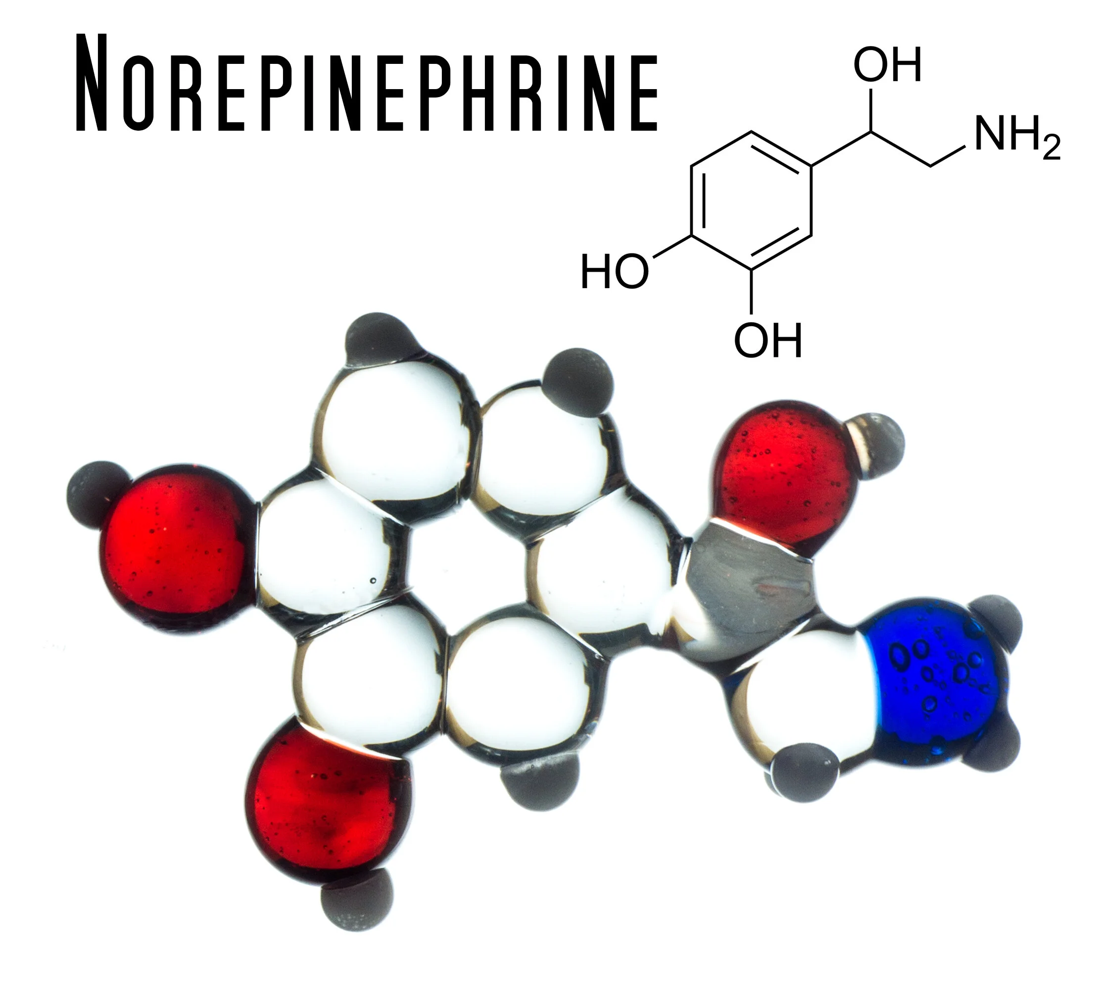 norepinephrine-etsy copy.JPG