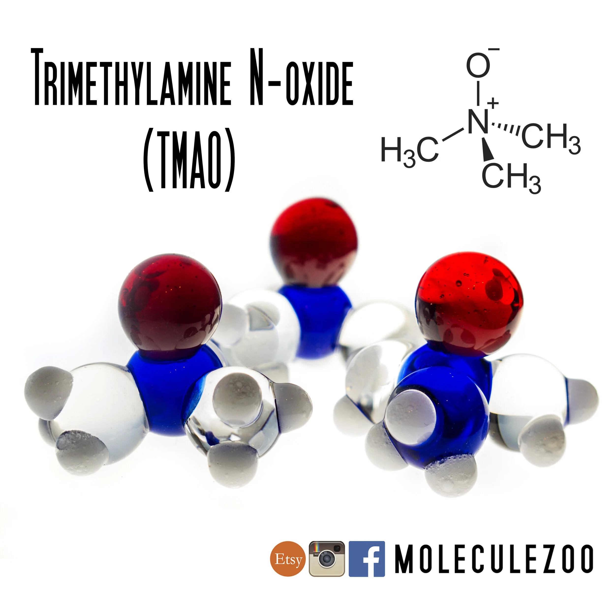 tmao_moleculezoo.JPG