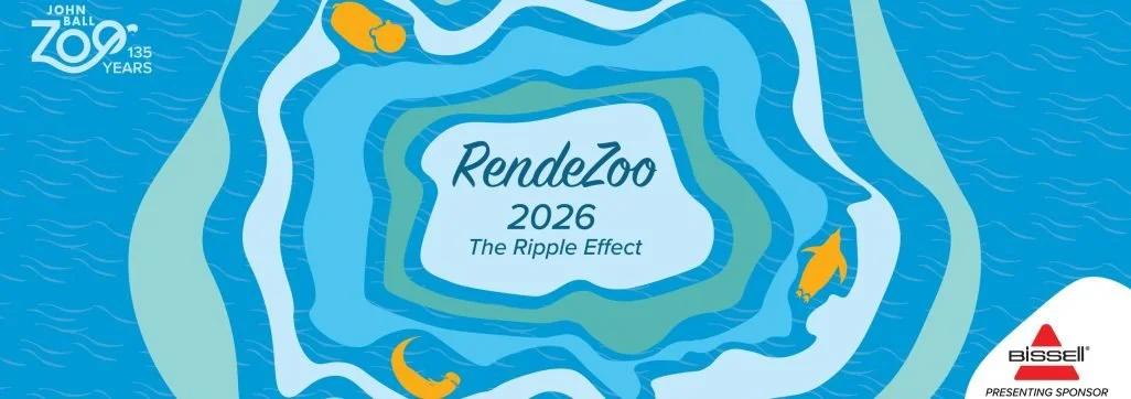 RendeZoo 2026: The Ripple Effect