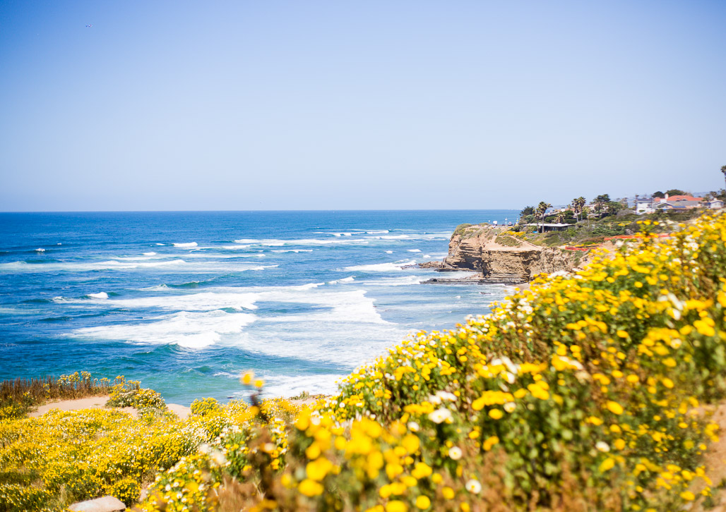 _Montgomery_Kruse_Wedding_SanDiego-38.jpg
