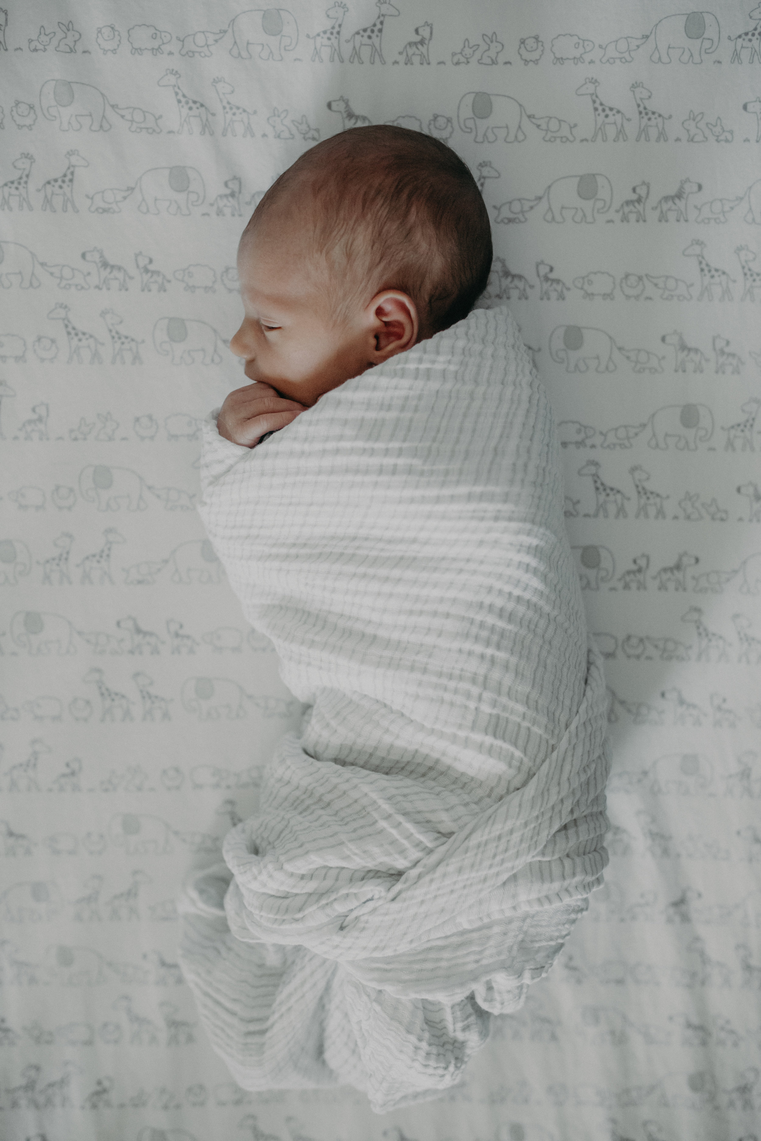 newborn-in-crib-chaska-mn-lifestyle-photographer
