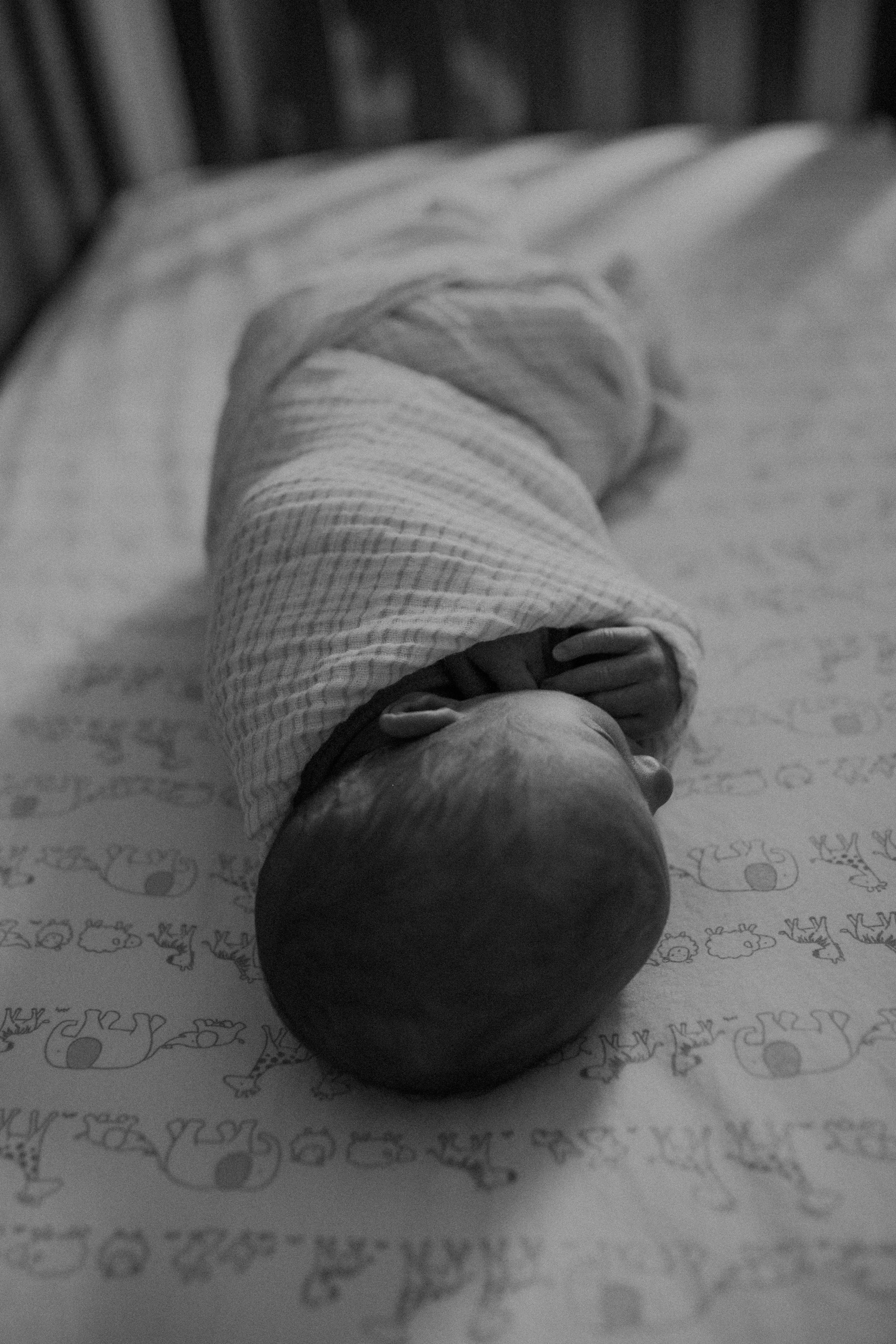  black and white photo of newborn baby in crib in Chaska MN 