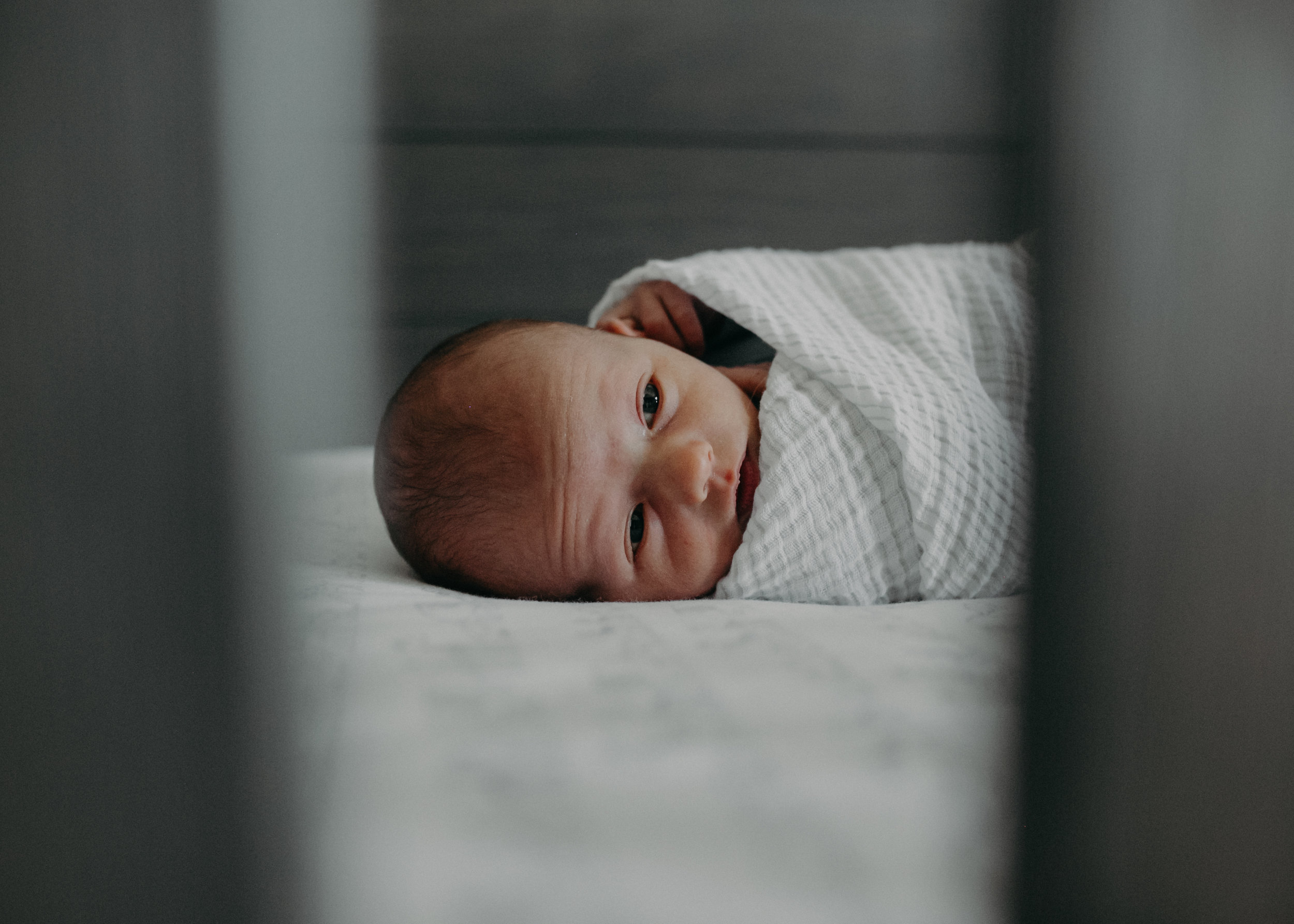  Chaska MN newborn baby boy in crib wrapped in muslin 