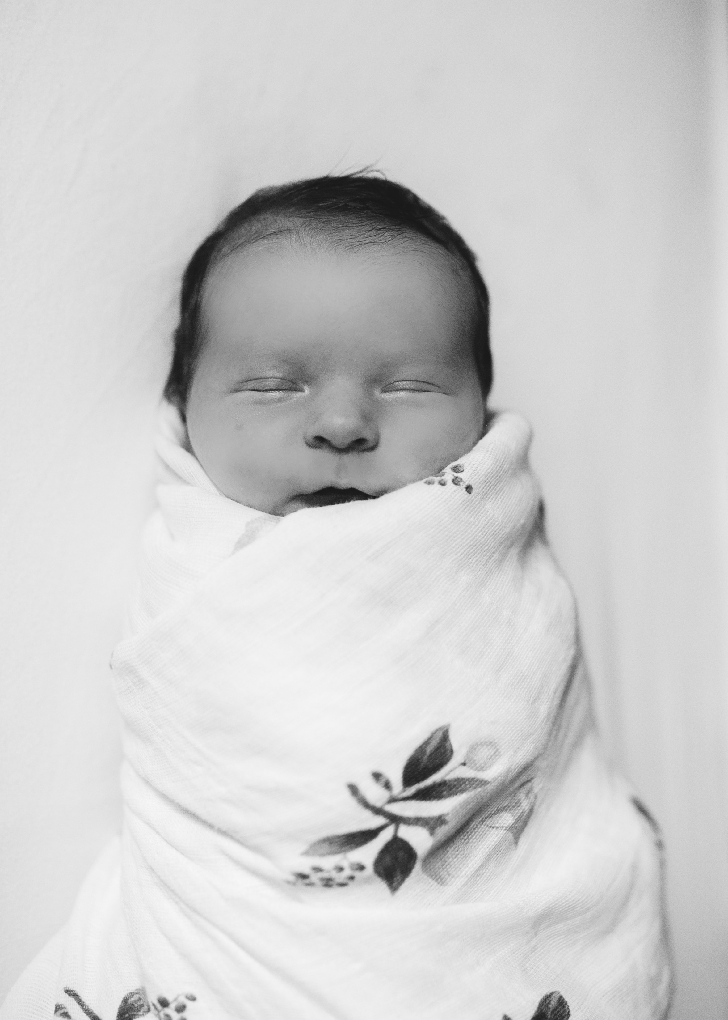  newborn lifestyle family photographer River Falls WI 