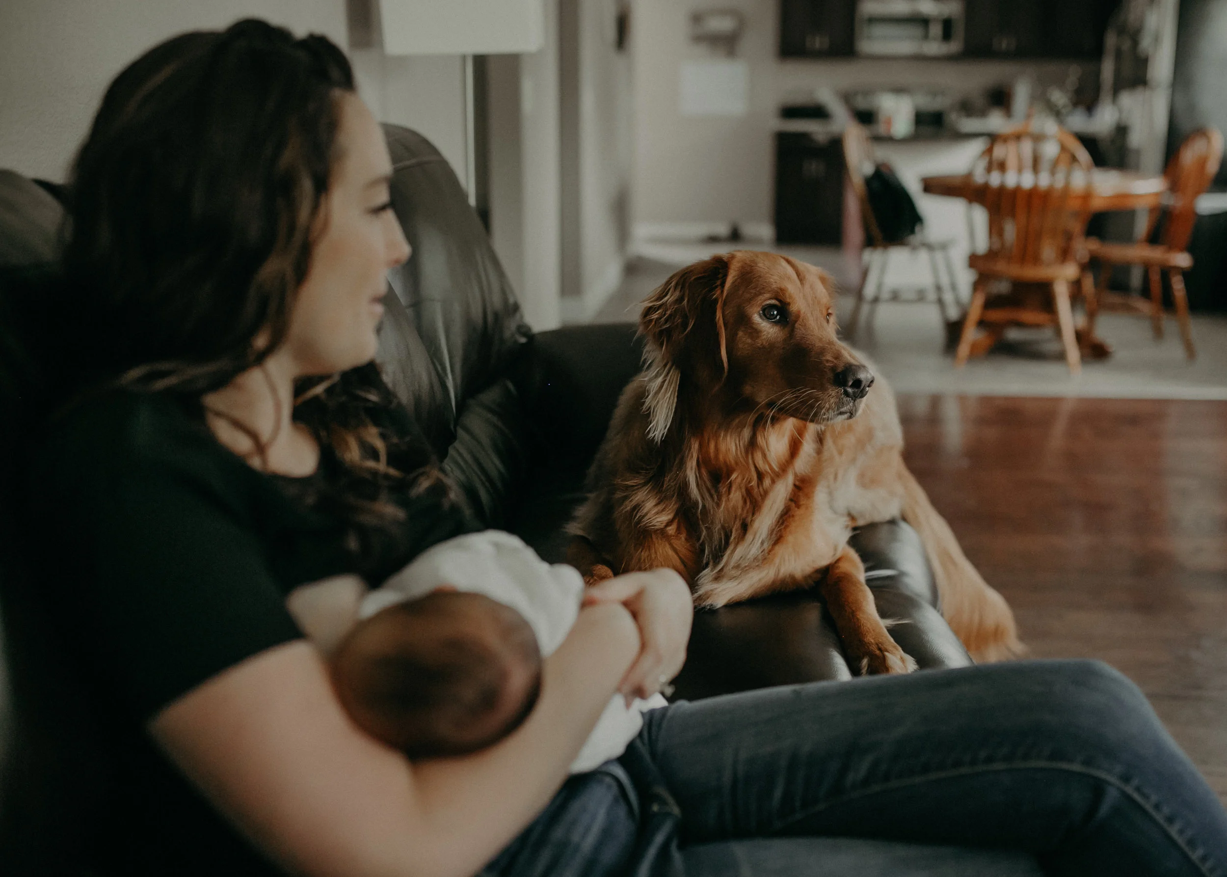golden retriever cuddling on couch while mom breastfeeds her baby