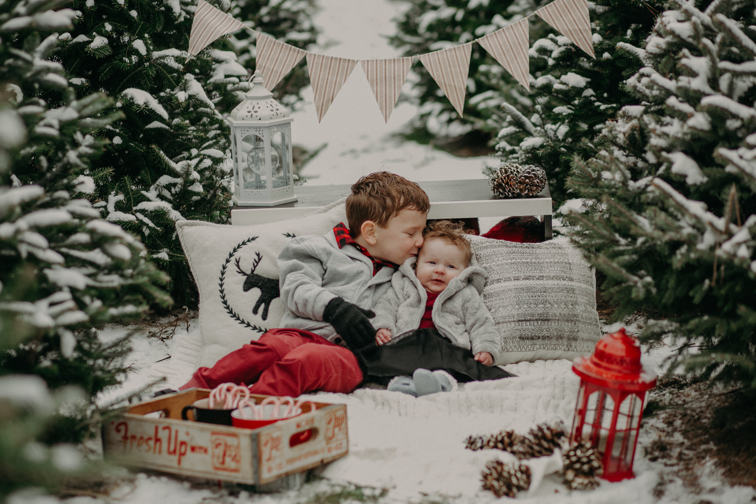  brother kissing baby sister at a Christmas tree farm photo session in Hudson WI 