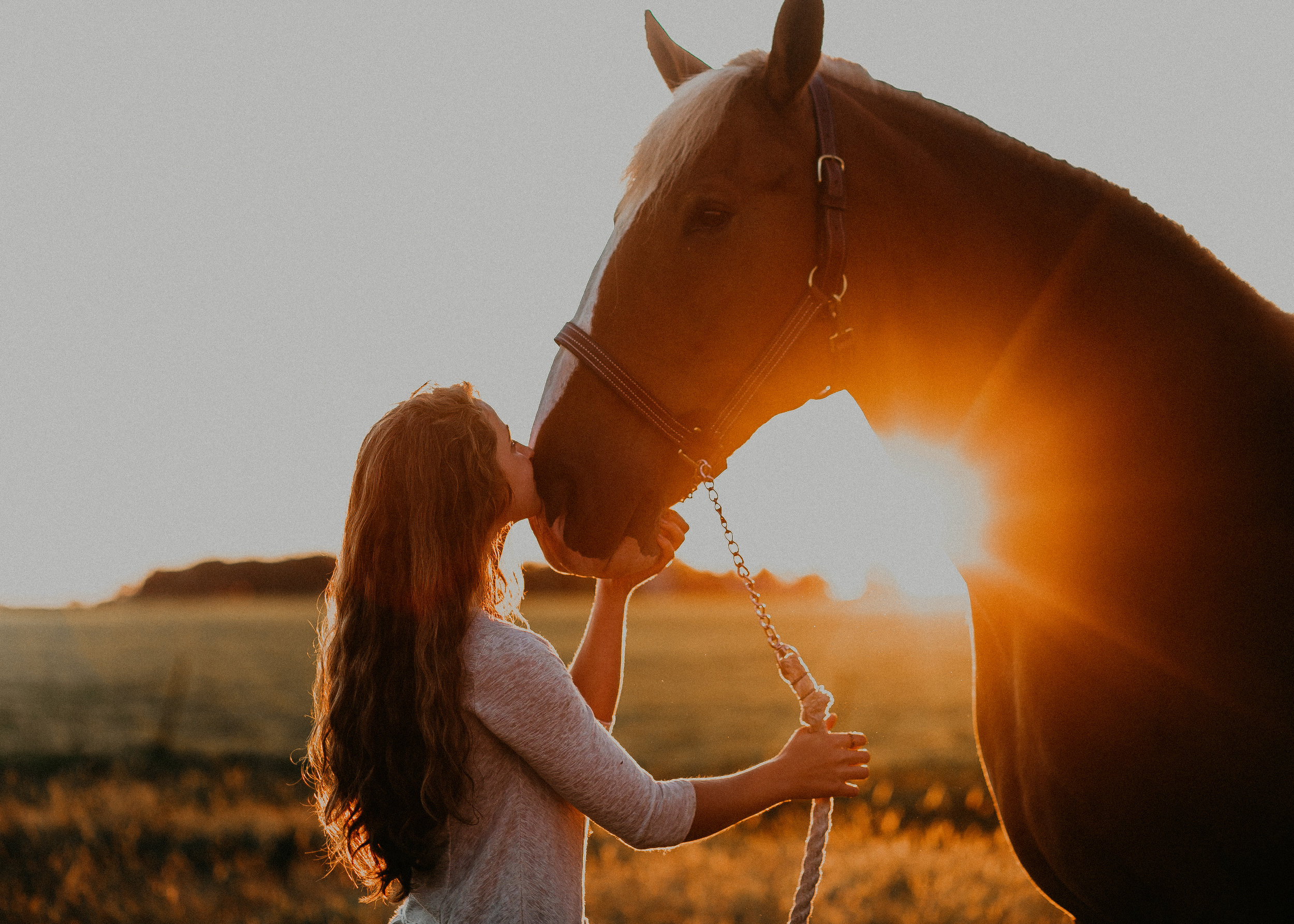 marshfield-wi-senior-photographer-stichert-equestrian