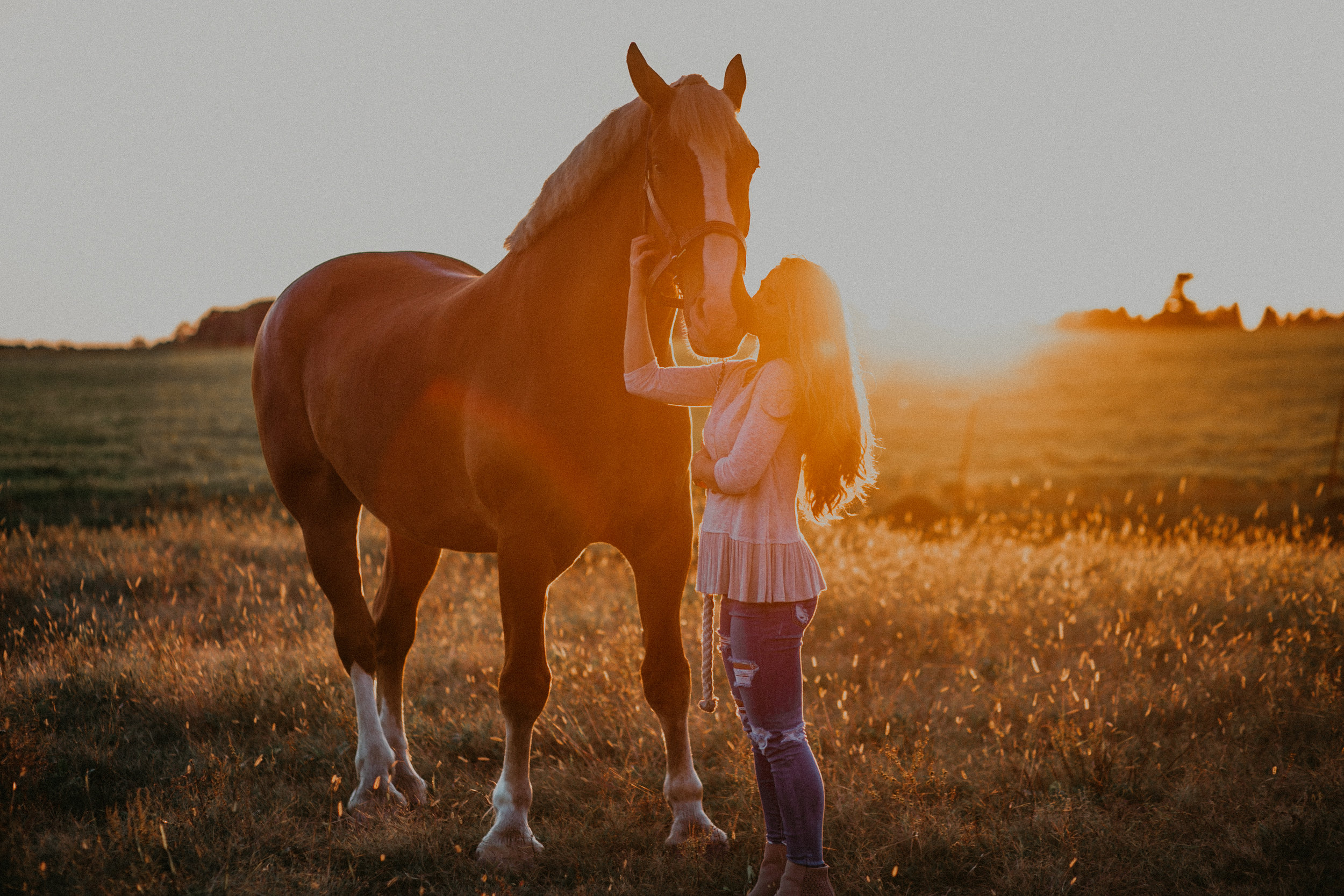 sunset-senior-photos-horse-equestrian-photographer
